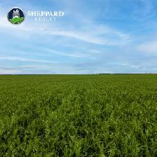 Premier Farmland Offering | 12,511 Acres | Near Regina, SK Area - Photo 5