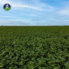 Premier Farmland Offering | 12,511 Acres | Near Regina, SK Area - Photo 6