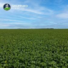 Premier Farmland Offering | 12,511 Acres | Near Regina, SK Area - Photo 7
