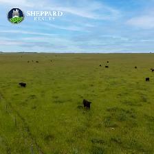 Premier Farmland Offering | 12,511 Acres | Near Regina, SK Area - Photo 8