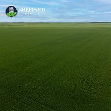 Premier Farmland Offering | 12,511 Acres | Near Regina, SK Area - Photo 9