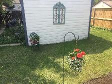 Fabulous 2 bedroom Home in Buena Vista - Photo 13