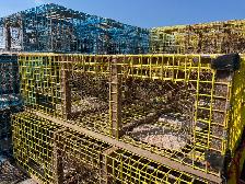 lobster traps