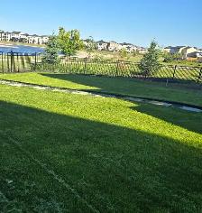 Professional Lawn Mowing Starting at Just $40!