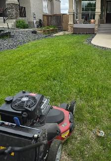 Professional Lawn Mowing Starting at Just $40! - Photo 2