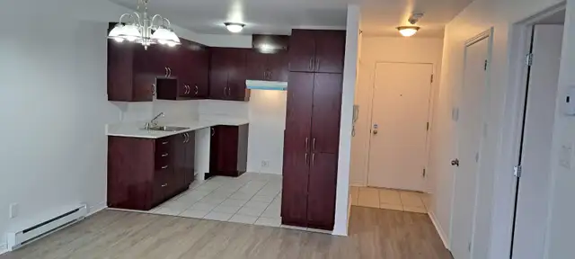 Grand 3 1/2 RENOVER, Saint-Eustache avec clientèle établi de 55