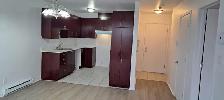 Grand 3 1/2 RENOVER, Saint-Eustache avec clientèle établi de 55