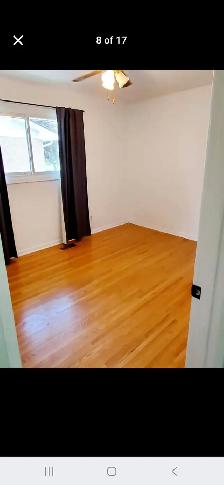 Centrally located 3 bed 1 bath house for rental from August 1st - Photo 2