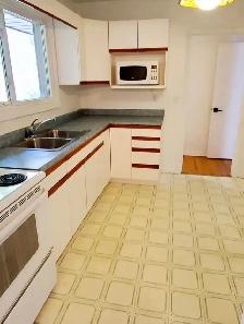 Centrally located 3 bed 1 bath house for rental from August 1st - Photo 5