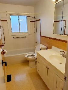 Centrally located 3 bed 1 bath house for rental from August 1st - Photo 8