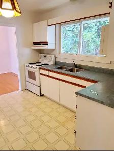 Centrally located 3 bed 1 bath house for rental from August 1st - Photo 9
