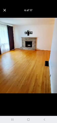 Centrally located 3 bed 1 bath house for rental from August 1st - Photo 10