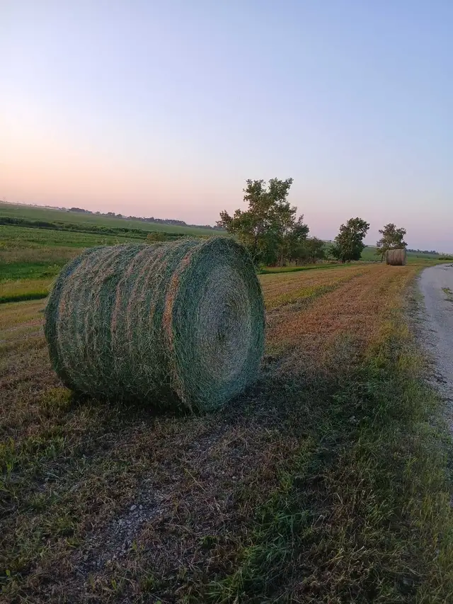 large round hay bales