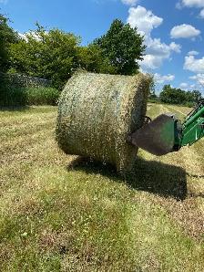 Hay for Sale - Photo 2