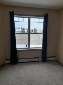 condo for rent - Photo 3