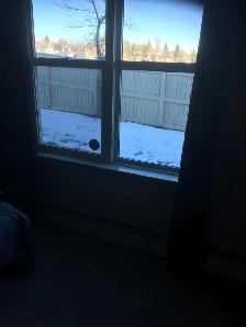 condo for rent - Photo 6