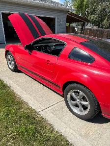 Multiple vehicles for sale in wetaskawin