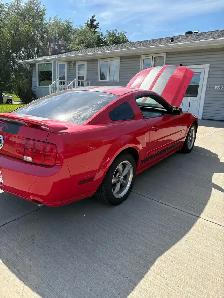 Multiple vehicles for sale in wetaskawin - Photo 6