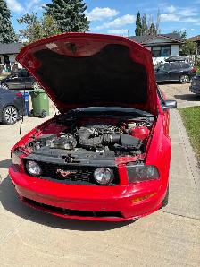 Multiple vehicles for sale in wetaskawin - Photo 7