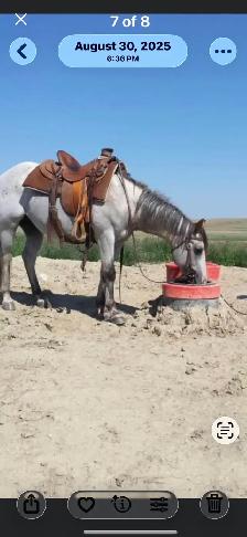 Stockboss Energy Free Livestock Waterer