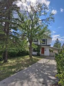 Beautiful 3 Bedrooms 2 Storeys House in Edgemont for Rent