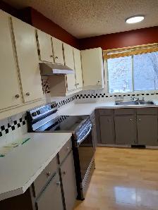 Beautiful 3 Bedrooms 2 Storeys House in Edgemont for Rent - Photo 5
