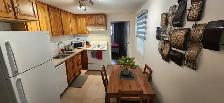 ROSEMONT - DISPONIBLE - Neuf 3 1/2 – BACHELOR - TOUT TOUT MEUBLÉ - Photo 6
