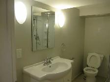2 Bedroom Basement for Rent in East York - Photo 4