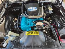 1980 Pontiac TRANS AM 301ci / ONLY 44 992KM ORIGINAL ! Sur toute - Photo 6