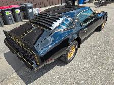 1980 Pontiac TRANS AM 301ci / ONLY 44 992KM ORIGINAL ! Sur toute - Photo 21