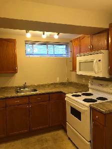 2 Bed 1 Bath Unit in Edmonton, AB - Photo 11