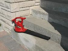 TORO Corded Leaf Blower - Photo 5