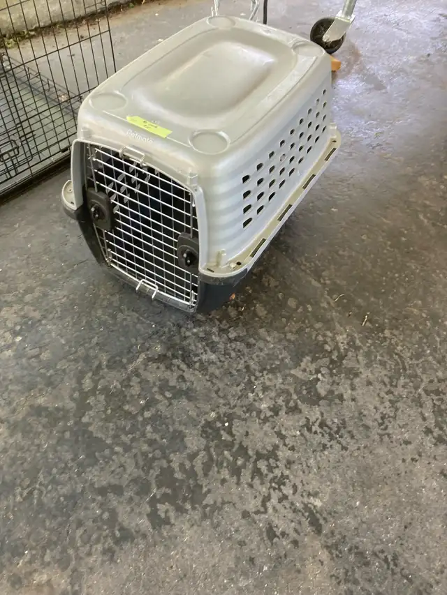 plastic pet crate