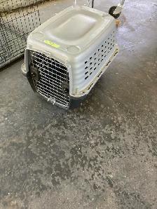 plastic pet crate