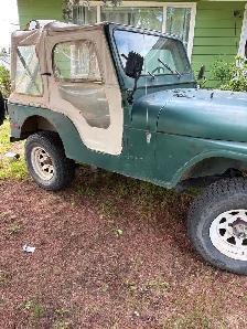 CJ 1979 Jeep - Photo 2
