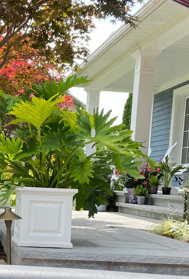 Isle Landscape Patios & Walkways