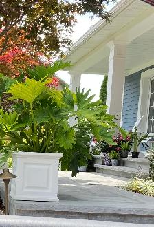 Isle Landscape Patios & Walkways