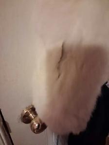 Rabbit Fur Coat - Photo 4