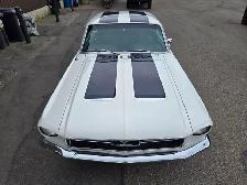 1968 Ford Mustang 289ci / American Racing Wheels Blue Stripes on - Photo 15