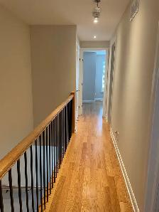Room with Private Bath, Near Ottawa Universities & Hospitals - Photo 7