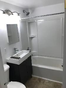 1br suite, 341 Marion Street, st Boniface area - Photo 3