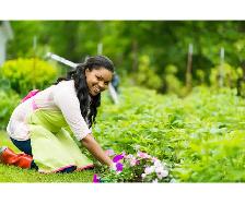 Garden Cleanup & General Labour | Starting at $105 | Ottawa/Gati - Photo 2
