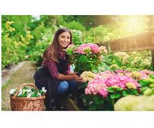 Garden Cleanup & General Labour | Starting at $105 | Ottawa/Gati - Photo 3