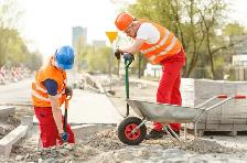 Garden Cleanup & General Labour | Starting at $105 | Ottawa/Gati - Photo 4
