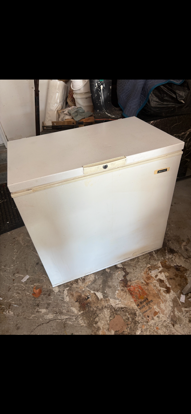 Chest freezer for dale