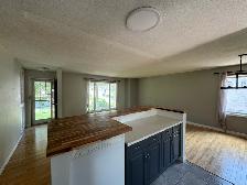 3 Bed 2.5 Bath  Den Home for Rent in Crestview - Photo 9