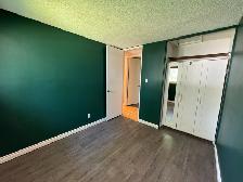 3 Bed 2.5 Bath  Den Home for Rent in Crestview - Photo 15