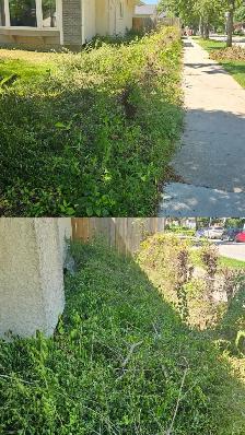 Junk removal / Dump runs.  and Moving - Photo 4