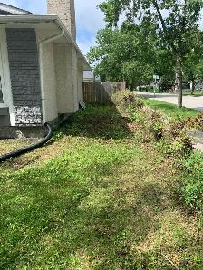 Junk removal / Dump runs.  and Moving - Photo 5