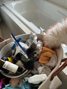 Free Cleaning Book Today! - Photo 3